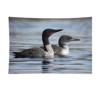HETVBNS Loon Birds Tapestry Wall Hanging - 60"x90" Aesthetic Tapestries Soft Polyester Wall Art Decor Large Tapestry for Bedroom Living Room Dorm Backdrop, Hanging Kit Included