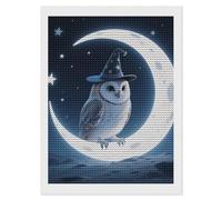 HETVBNS Magic - Hat Owl Diamond Painting Kits for Adults, Full Round Drill DIY Diamond Art for Beginners, 5D Gem Art and Crafts for Home Wall Decor 12"x16"