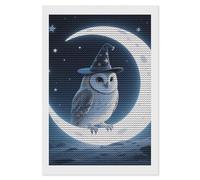 HETVBNS Magic - Hat Owl Diamond Painting Kits for Adults, Full Round Drill DIY Diamond Art for Beginners, 5D Gem Art and Crafts for Home Wall Decor 8"x12"