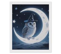 HETVBNS Magic - Hat Owl Diamond Painting Kits for Adults, Full Round Drill DIY Diamond Art for Beginners, 5D Gem Art and Crafts for Home Wall Decor 16"x20"