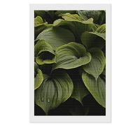 HETVBNS Moist Hosta Leaves Diamond Painting Kits for Adults, Full Round Drill DIY Diamond Art for Beginners, 5D Gem Art and Crafts for Home Wall Decor 8"x12"