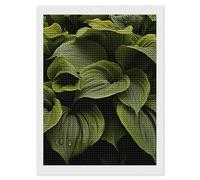 HETVBNS Moist Hosta Leaves Diamond Painting Kits for Adults, Full Round Drill DIY Diamond Art for Beginners, 5D Gem Art and Crafts for Home Wall Decor 12"x16"