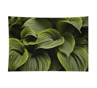 HETVBNS Moist Hosta Leaves Tapestry Wall Hanging - 40"x60" Aesthetic Tapestries Soft Polyester Wall Art Decor Large Tapestry for Bedroom Living Room Dorm Backdrop, Hanging Kit Included