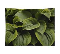 HETVBNS Moist Hosta Leaves Tapestry Wall Hanging - 60"x80" Aesthetic Tapestries Soft Polyester Wall Art Decor Large Tapestry for Bedroom Living Room Dorm Backdrop, Hanging Kit Included