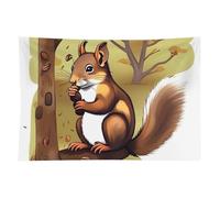 HETVBNS Nut-eating Squirrel Tapestry Wall Hanging - 40"x60" Aesthetic Tapestries Soft Polyester Wall Art Decor Large Tapestry for Bedroom Living Room Dorm Backdrop, Hanging Kit Included