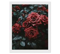 HETVBNS Red and Black Rose Diamond Painting Kits for Adults, Full Round Drill DIY Diamond Art for Beginners, 5D Gem Art and Crafts for Home Wall Decor 16"x20"