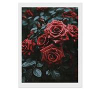 HETVBNS Red and Black Rose Diamond Painting Kits for Adults, Full Round Drill DIY Diamond Art for Beginners, 5D Gem Art and Crafts for Home Wall Decor 12"x16"