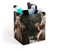 HETVBNS Squirrel Funny Animal Pen Holder for Desk - PU Leather Square Desk Organizer Travel Makeup Brush Storage Stylish Pencil Holder Desktop Stationery Organizer for Office & Home