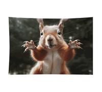 HETVBNS Squirrel Funny Animal Tapestry Wall Hanging - 40"x60" Aesthetic Tapestries Soft Polyester Wall Art Decor Large Tapestry for Bedroom Living Room Dorm Backdrop, Hanging Kit Included