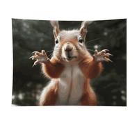 HETVBNS Squirrel Funny Animal Tapestry Wall Hanging - 60"x80" Aesthetic Tapestries Soft Polyester Wall Art Decor Large Tapestry for Bedroom Living Room Dorm Backdrop, Hanging Kit Included