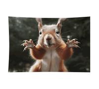 HETVBNS Squirrel Funny Animal Tapestry Wall Hanging - 60"x90" Aesthetic Tapestries Soft Polyester Wall Art Decor Large Tapestry for Bedroom Living Room Dorm Backdrop, Hanging Kit Included