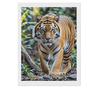HETVBNS Tiger Diamond Painting Kits for Adults, Full Round Drill DIY Diamond Art for Beginners, 5D Gem Art and Crafts for Home Wall Decor 12"x16"