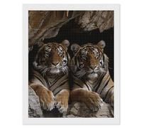 HETVBNS Tiger in Cave Diamond Painting Kits for Adults, Full Round Drill DIY Diamond Art for Beginners, 5D Gem Art and Crafts for Home Wall Decor 16"x20"
