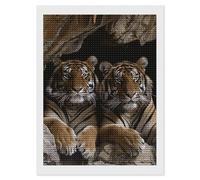 HETVBNS Tiger in Cave Diamond Painting Kits for Adults, Full Round Drill DIY Diamond Art for Beginners, 5D Gem Art and Crafts for Home Wall Decor 12"x16"