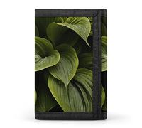 HETVBNS TriFold Wallet with 8 Card Slots & Keychain | Durable Polyester | Compact Moist Hosta Leaves Wallet for Travel