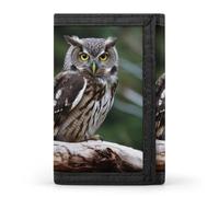 HETVBNS TriFold Wallet with 8 Card Slots & Keychain | Durable Polyester | Compact Wild Owl Birds Wallet for Travel