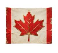 HETVBNS Vintage Canada Flag Tapestry Wall Hanging - 30"x40" Aesthetic Tapestries Soft Polyester Wall Art Decor Large Tapestry for Bedroom Living Room Dorm Backdrop, Hanging Kit Included