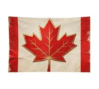 HETVBNS Vintage Canada Flag Tapestry Wall Hanging - 40"x60" Aesthetic Tapestries Soft Polyester Wall Art Decor Large Tapestry for Bedroom Living Room Dorm Backdrop, Hanging Kit Included
