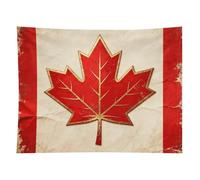 HETVBNS Vintage Canada Flag Tapestry Wall Hanging - 60"x80" Aesthetic Tapestries Soft Polyester Wall Art Decor Large Tapestry for Bedroom Living Room Dorm Backdrop, Hanging Kit Included