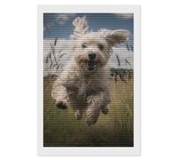 HETVBNS White Dog in The Field Diamond Painting Kits for Adults, Full Round Drill DIY Diamond Art for Beginners, 5D Gem Art and Crafts for Home Wall Decor 8"x12"