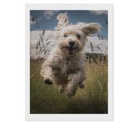 HETVBNS White Dog in The Field Diamond Painting Kits for Adults, Full Round Drill DIY Diamond Art for Beginners, 5D Gem Art and Crafts for Home Wall Decor 12"x16"