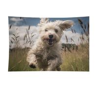 HETVBNS White Dog in The Field Tapestry Wall Hanging - 40"x60" Aesthetic Tapestries Soft Polyester Wall Art Decor Large Tapestry for Bedroom Living Room Dorm Backdrop, Hanging Kit Included