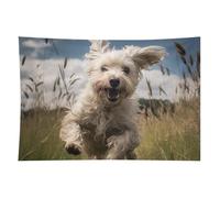 HETVBNS White Dog in The Field Tapestry Wall Hanging - 60"x90" Aesthetic Tapestries Soft Polyester Wall Art Decor Large Tapestry for Bedroom Living Room Dorm Backdrop, Hanging Kit Included