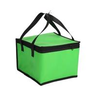 HEUchuan Insulated Thermal Cooler Bag Folding Picnic Ice Pack Food Bags Drink Carrier Tin Foil Delivery for Hot/Cold Meals(Green-8inch)