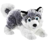 Heunec 277878 Misanimo Husky Lying Down 28 cm Multi-Coloured