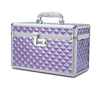 HEWEI WORKS Storage Lock Box with Combination Lock, Lockable Medicine Storage Box, Empty First Aid Box, Security Lockbox, Multipurpose Locking Cabinet for Home and Outdoor Use (Purple, Large)