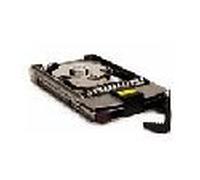 Hewlett Packard Enterprise, 146 GB, 15 K RPM Ultra320 Hot Plug SCSI Hard Drive (15 K RPM, Ultra320 SCSI, Hot Plug, HDD, SCSI Ultra320 SCSI)