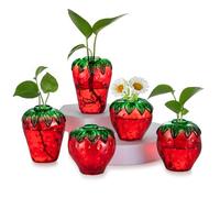Hewory Cute Strawberry Vase for Flowers: 5 Bud Vases Terrarium Jar Unique Small Vases for Table Decoration - Glass Vase Mini Vases Strawberry Decor for Kawaii Room Decor Home Womens Gift Sets