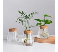 Hewory Plant Propagation Station for Plants: Plant Terrarium Glass Planter with Wooden Lid for Plant Lover, Desktop Small Glass Vase Propagators for Plants, Hydroponics for Plant Gifts Office