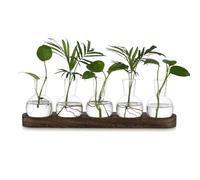 Hewory Propagation Station Propagators for Plants: Desktop Glass Terrarium Bulb Vase Gifts for Plant Lovers - Small Glass Vase Terrarium Jar With Wood Tray for Houseplants Cuttings Windowsill, 5pcs