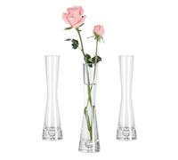 Hewory Tall Bud Vases for Flowers, 20cm Single Stem Vase for Table Decor