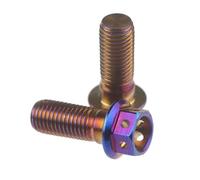 Hex Bolts And Nuts Set Compatible With M10 General Parts 1 Pcs Motorcycle CNC Burnt Titanium 304 Steel For Bolt With Bleed Screw Motorcycle Brake Caliper Pump