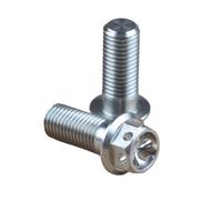 Hex Bolts And Nuts Set Compatible With M10 General Parts 1 Pcs Motorcycle CNC Burnt Titanium 304 Steel For Bolt With Bleed Screw Motorcycle Brake Caliper Pump