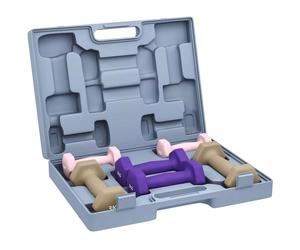 Hex Dumbbell Set 12kg Pink Purple Brown PU Steel with Carry Case Mini 8x30x41cm