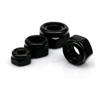 Hex Nut,Lock Nuts 2/10/25pcs M2 M2.5 M3 M4 M5 M6 M8 M10 M12 Black 304 Stainless Steel Hex Nylon Insert Lock Nut Hexagon Self-locking Locknut(25pcs M2)