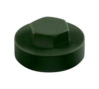 HEX TEK Roofing Screw CLADDING CAPS - 16mm or 19mm Coverage / 8mm Recess (PK 100) (Juniper Green, 19mm)