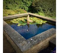 Hexagonal Fish Protection Net for Ponds & Wildlife Safety - 10-Piece or 20-Piece Black Plastic Garden Pond Net, 31.5 x 26.5 cm, Lightweight & Dur(10 Pieces)