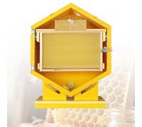 Hexagonal Wall-Mounted Bee Observation Hive， with 3 Frames & 6 Honeycomb Trays,for garden educational beekeeping frames