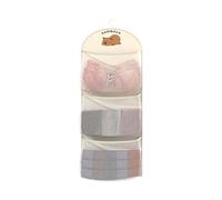 HEXHUASR New Capybara Underwear Storage Bag 1/2/3Layer Multi-layer Wardrobe Organizer with Hanger Large Capacity Net Bag(3 layers)