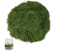 Hexizexi 100g Fake Moss Dark Green Artificial Moss for Arts and Crafts Planters Model Making Festivals DIY