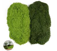 Hexizexi 300g Fake Moss Dark Green and Light Green Artificial Moss for Arts and Crafts Planters Model Making Festivals DIY