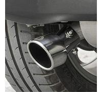 HEYCE Car Exhaust Tail Pipe Rear for Smart 453 Fortwo Forfour Exhaust Tips Muffler Stainless Steel Chrome Trim Modified Rear Tail Throat,Silver