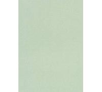Heyda A4 Iridescent Non-Shedding Glitter Card - Light Green