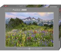 Tatoosh Mountains