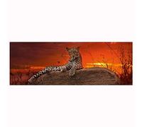 Hy29608 - Heye Puzzles - Panorama , 2000 Pc - Red Dawn