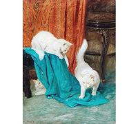Heyer Cats Kitten Playing Painting Coral Turquoise Art Print Canvas Premium Wall Decor Poster Mural